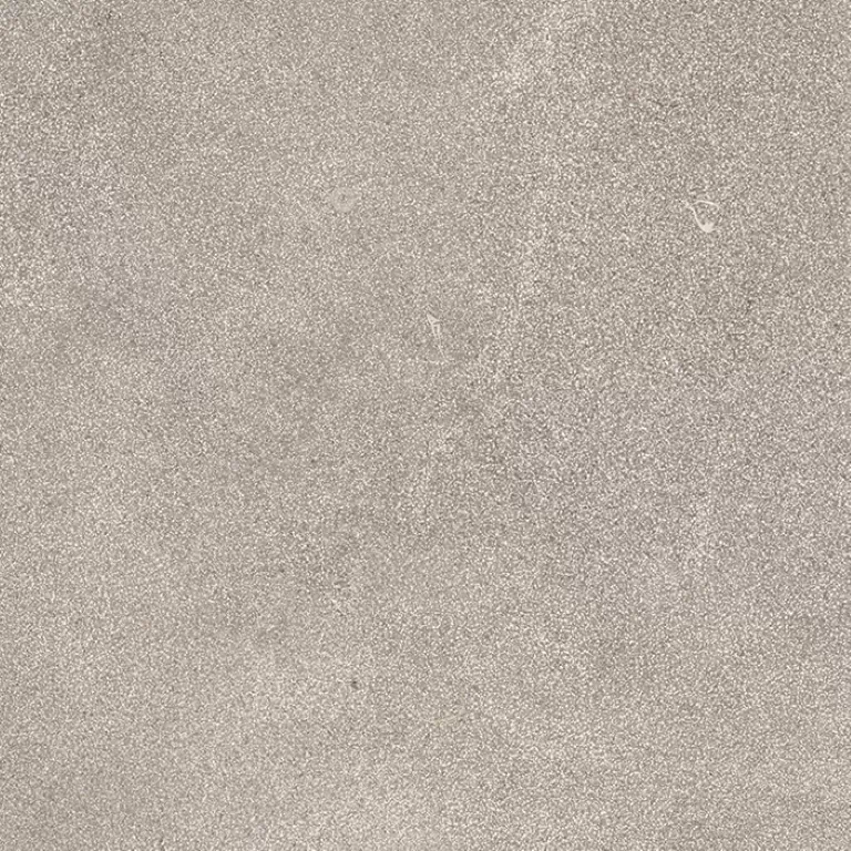 Керамогранит 100330183 Savannah Topo L 59,6х59,6