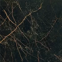 Керамогранит 240113 MARBLE NERO S.LAURENT LAPPATO 2,7x2,7