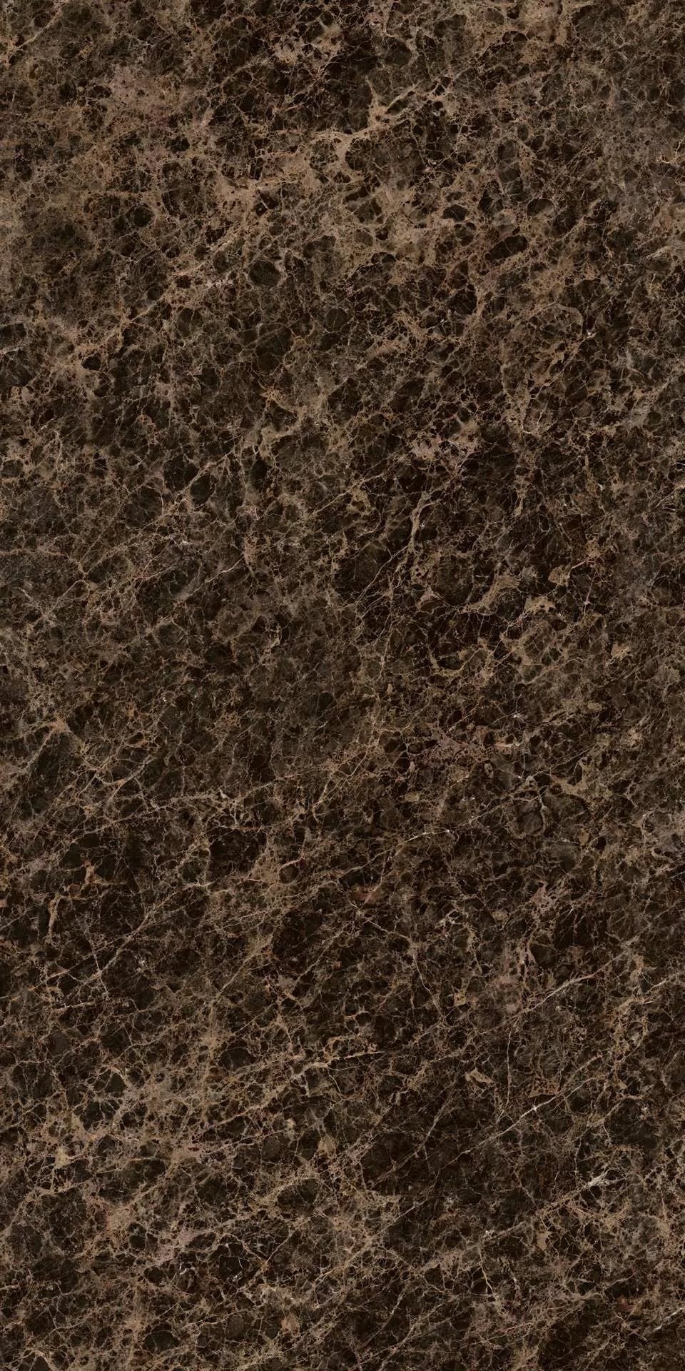 Керамогранит FMAA100U010A2 Emperador Lucido 150x300