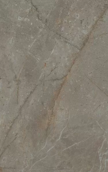 Плитка 6431 Кантата серый глянцевый 25x40