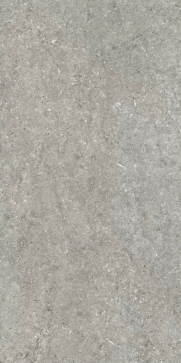 Керамогранит 768621 Sensi Grey Fossil Nat Ret 6mm 60x120