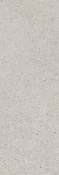 Плитка 14053R Риккарди серый светлый матовый обрезной 40x120