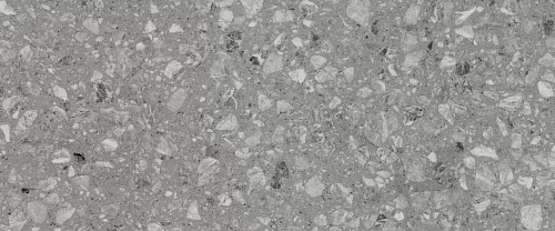 Плитка 010100001544 Terrazzo grey 01 25х60