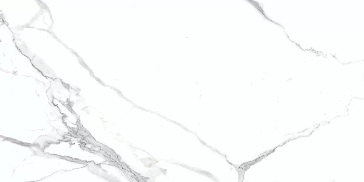 Керамогранит Calacatta Splendid Silver Белый Полированный 60х120
