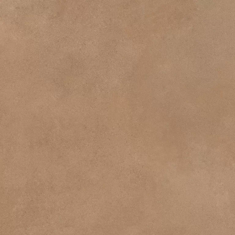 Керамогранит Mediterranea Coral PW R 60x60