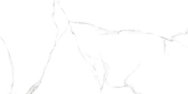 Керамогранит GFU60120CRR00R Carrara 60х120