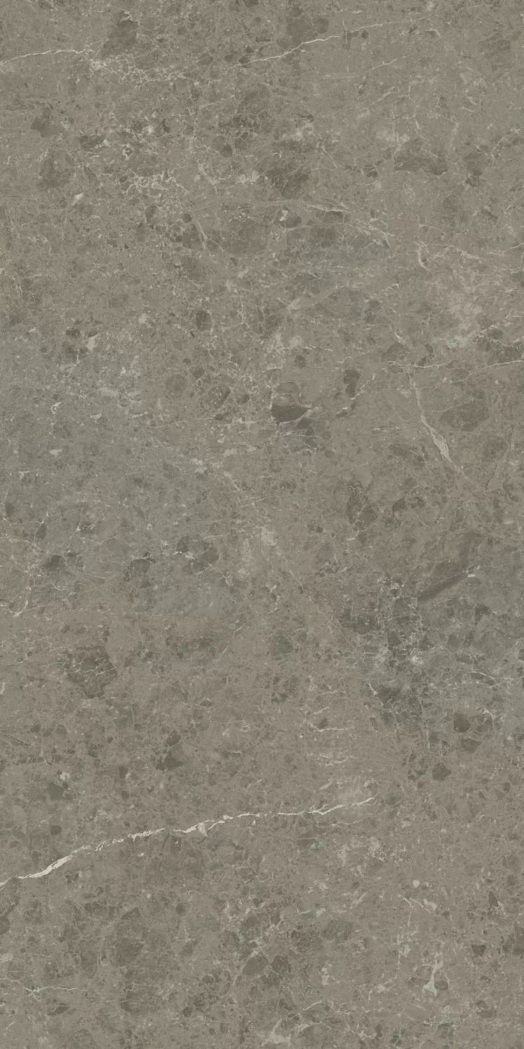Керамогранит AJIU Marvel Meraviglia Grigio Elegante Matt 60x120
