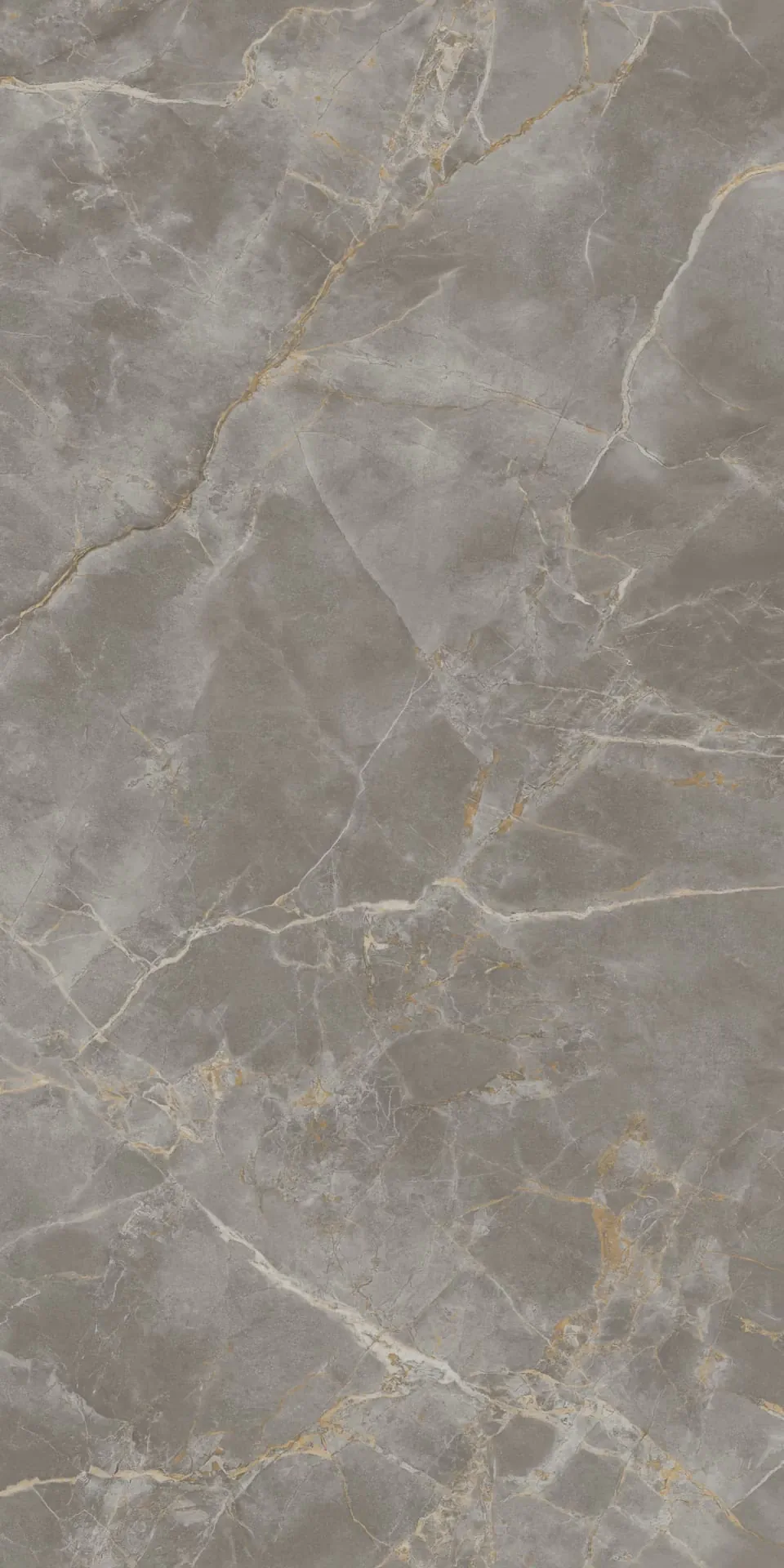Керамогранит AJRV Fior di Bosco Lappato 160x320