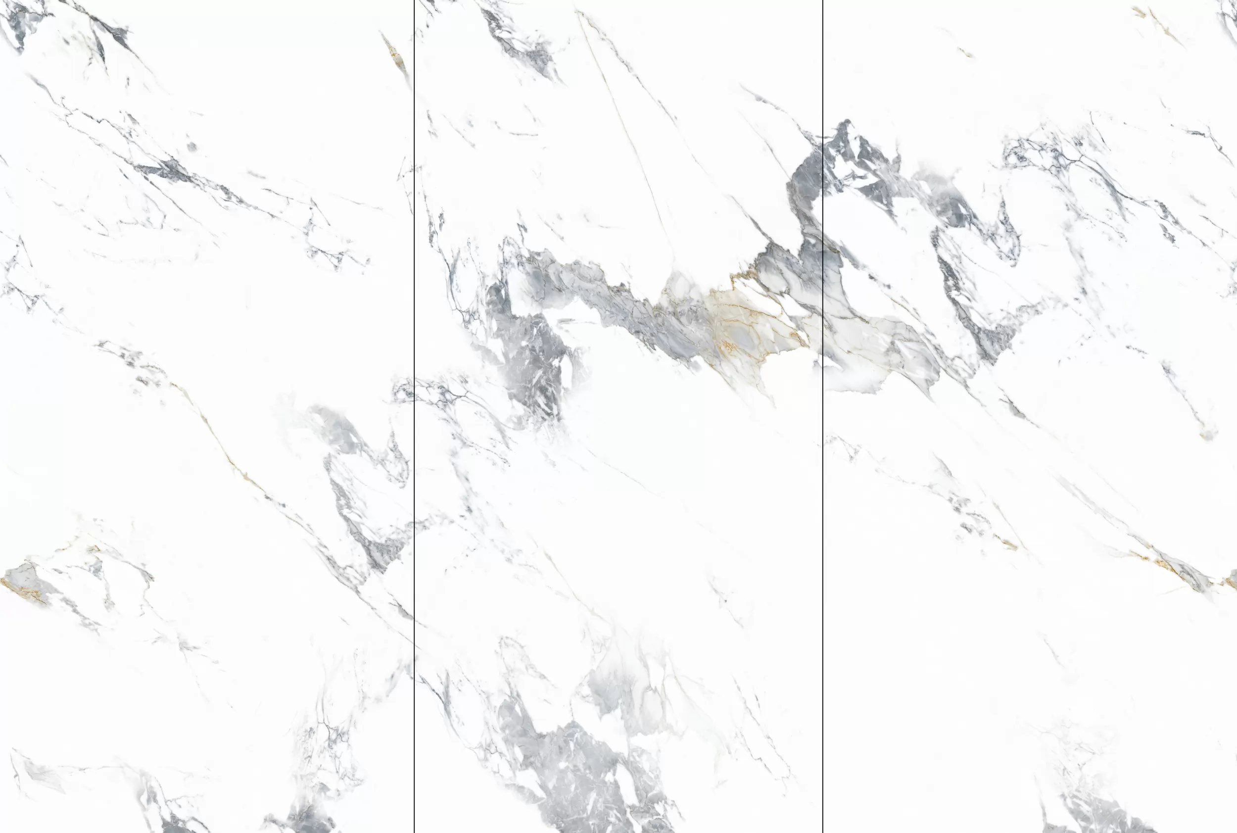 Керамогранит NTT3003P Arabescato 120x240