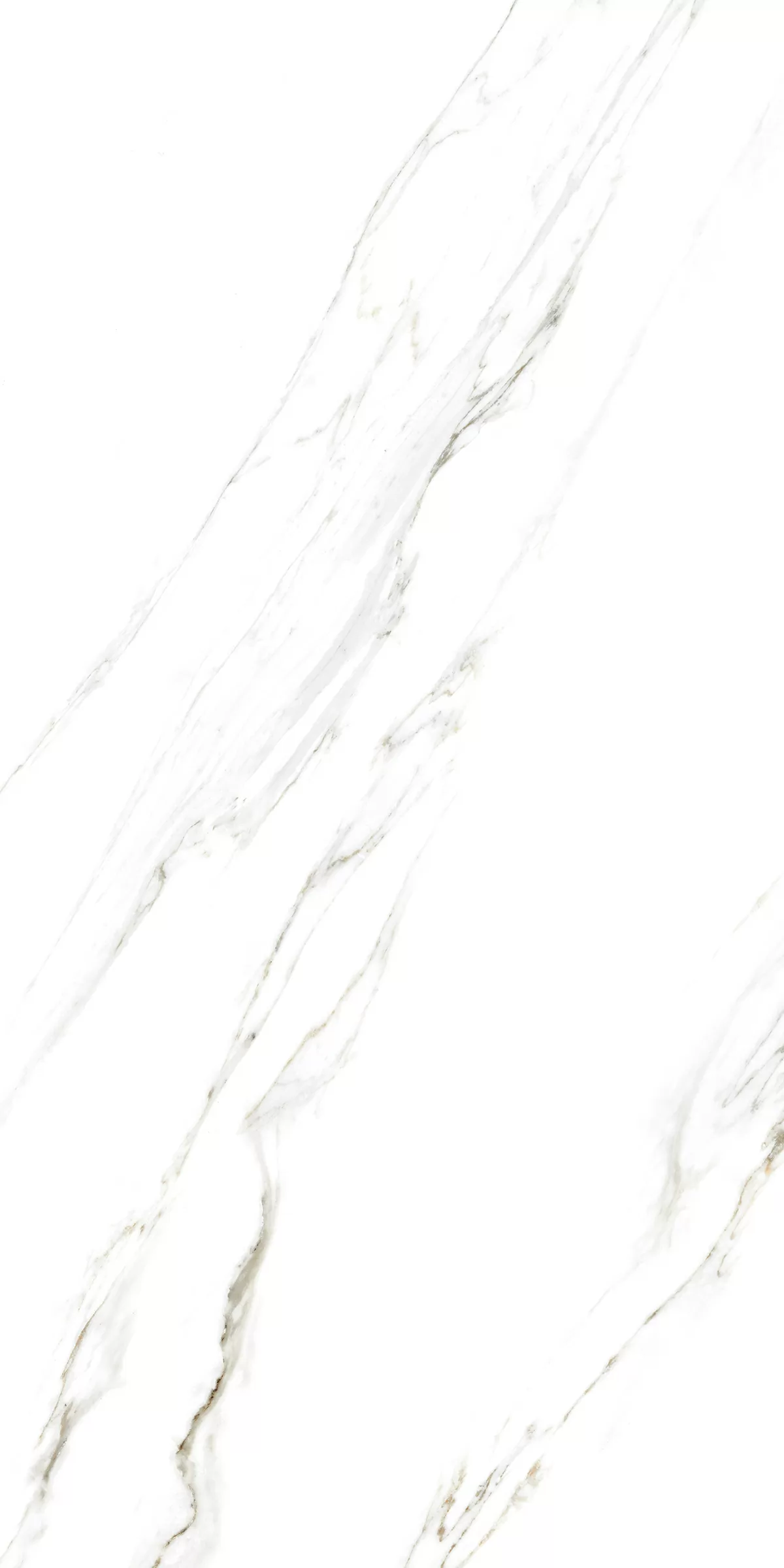 Керамогранит 885 Calacatta Caldia 120x60