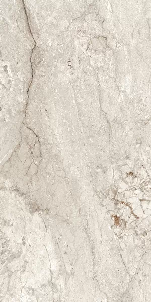 Керамогранит Ceppo Di Grey 80x160