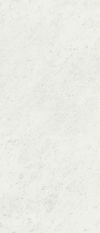 Керамогранит fOV2 Roma Carrara Silk 120x278