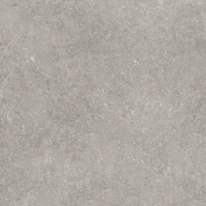 Керамогранит 100324749 Verbier Silver 59.6x59.6
