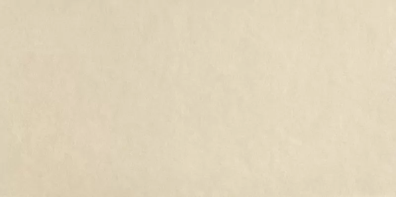 Плитка fRFN Sheer Beige RT 80x160