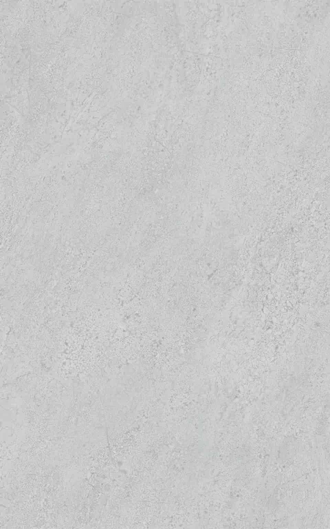 Плитка 6424 Мотиво серый светлый глянцевый 25x40