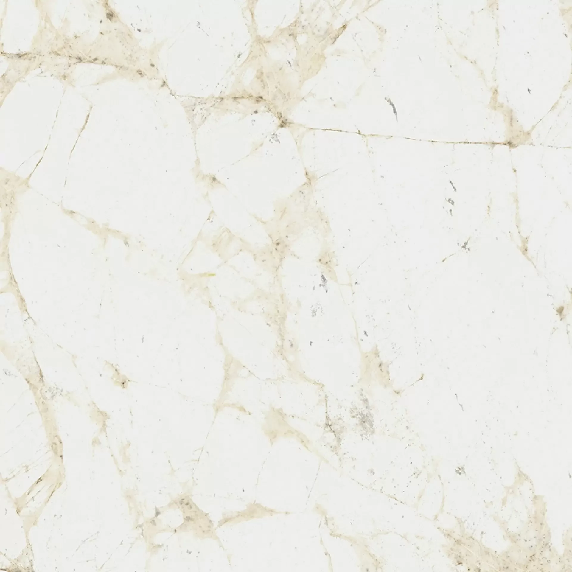 Керамогранит 610010005761 Canova White Ret 60x60