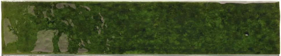 Плитка 31627 Menorca Tourmaline 6,5x32,8