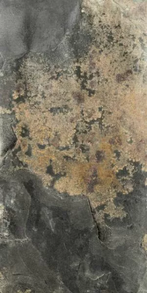 Керамогранит 004079 Roccione Beige Out 15.3x31
