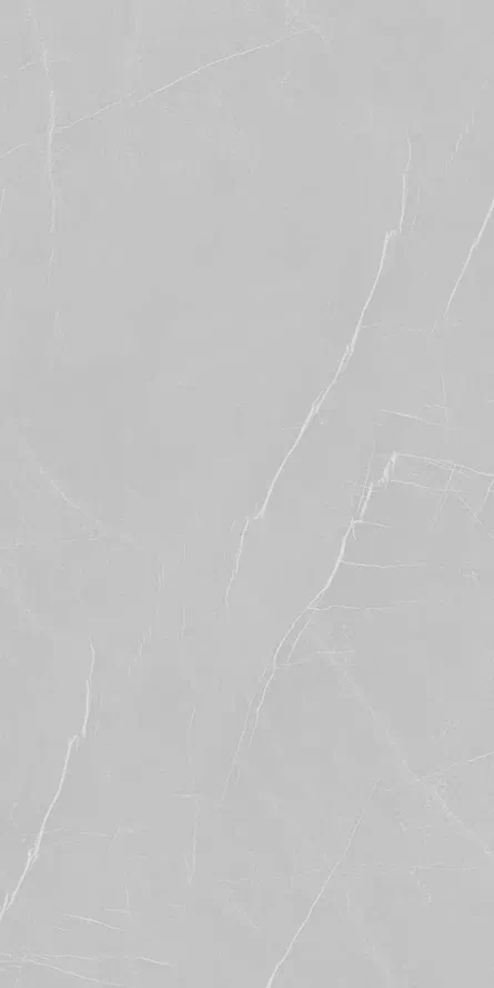 Керамогранит 906 PIETRA GRAY 80х160