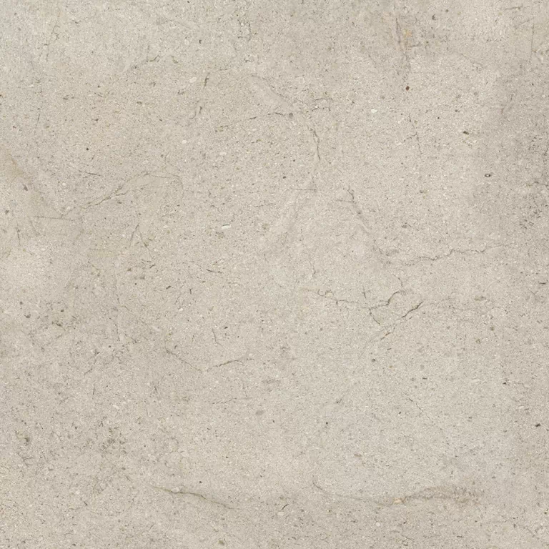 Керамогранит 100348060 Dorcia Acero L 80x80