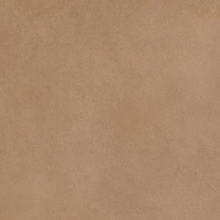 Керамогранит Mediterranea Coral PW R 60x60