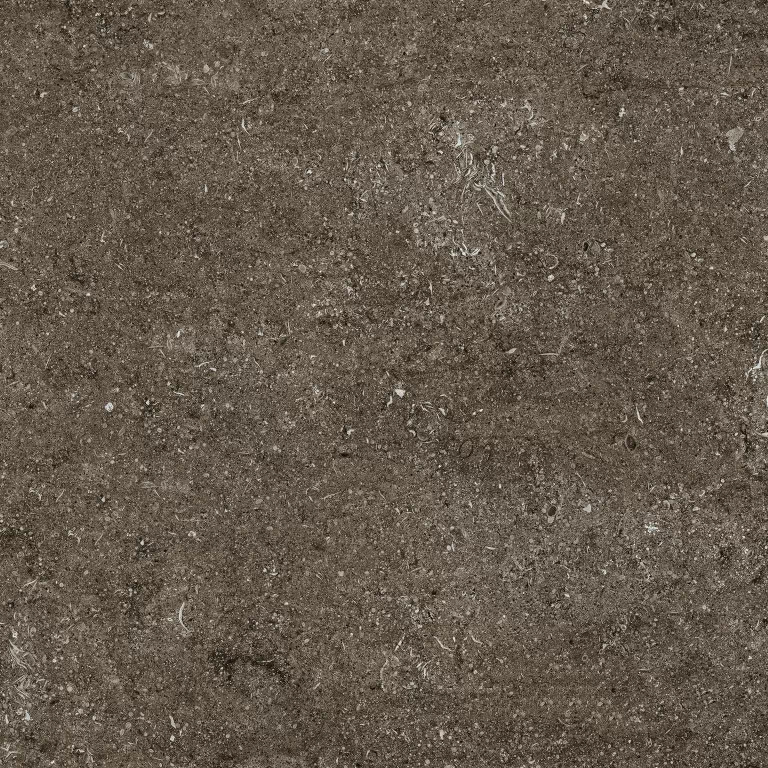 Керамогранит 768380 Sensi Brown Fossil R+PTV Ret 80x80