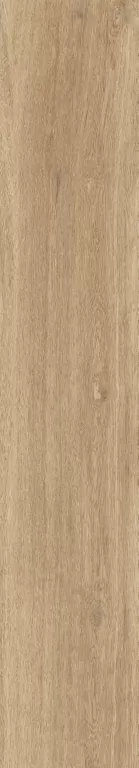 Керамогранит 1061 Parma Miel Mate 120x20