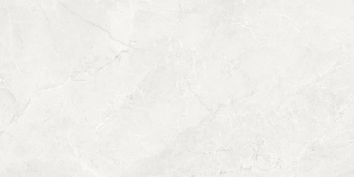 Плитка 48048R Pluto light матовый обрезной 40x80