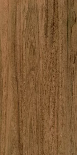 Керамогранит Greenwood Elite Matt 60x120