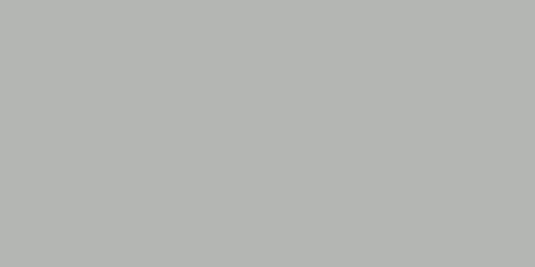 Керамогранит Tornares Zumaia Silver Rec 60x120