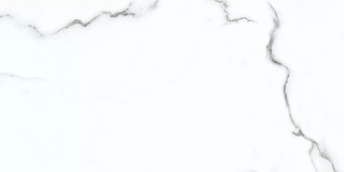 Плитка Calacatta Opaco 31.5x63