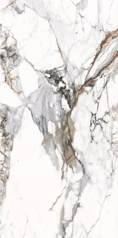Керамогранит NTT3005P Breccia Capria 120x240