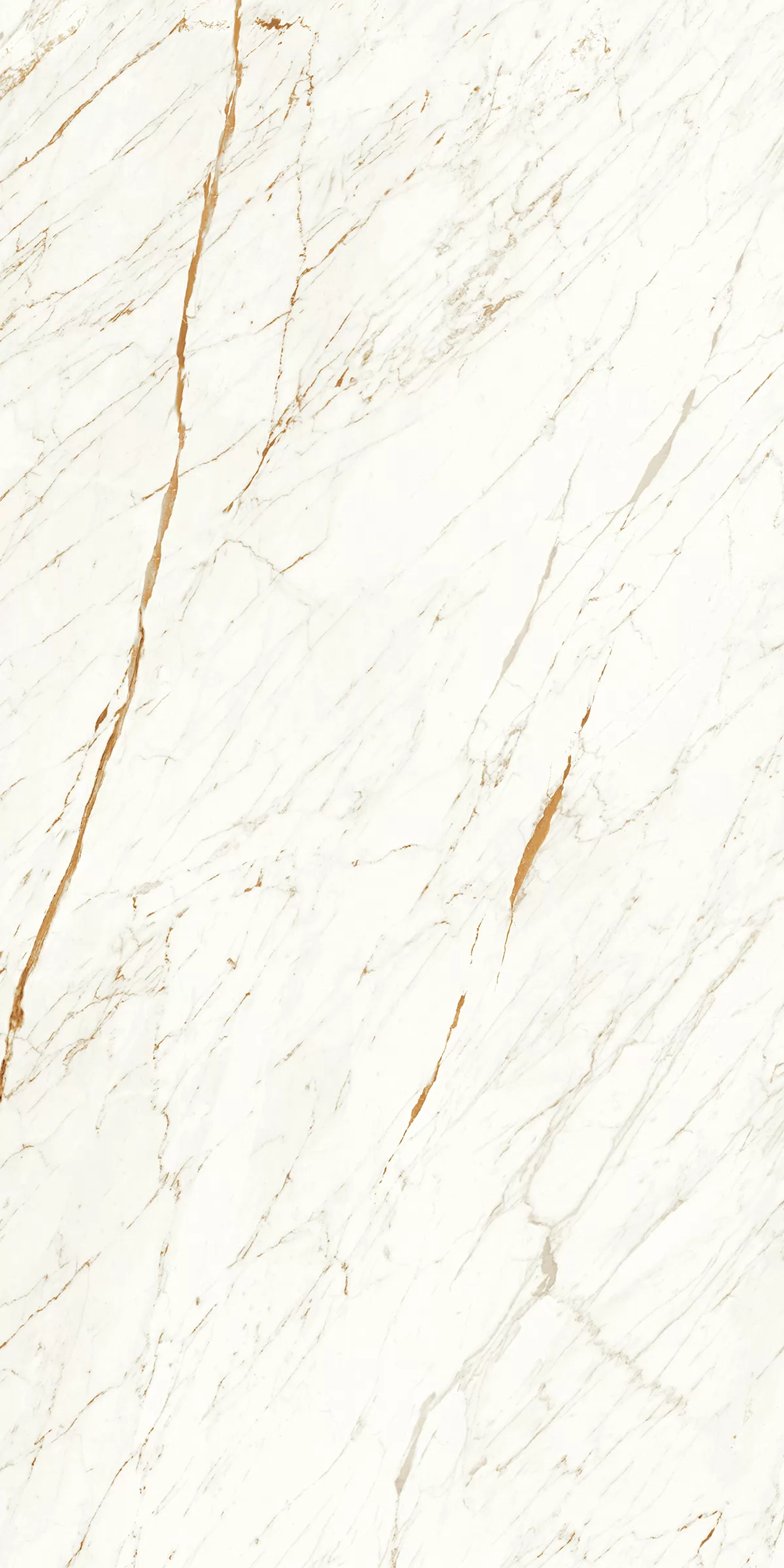 Керамогранит 903 Nero White 120x60
