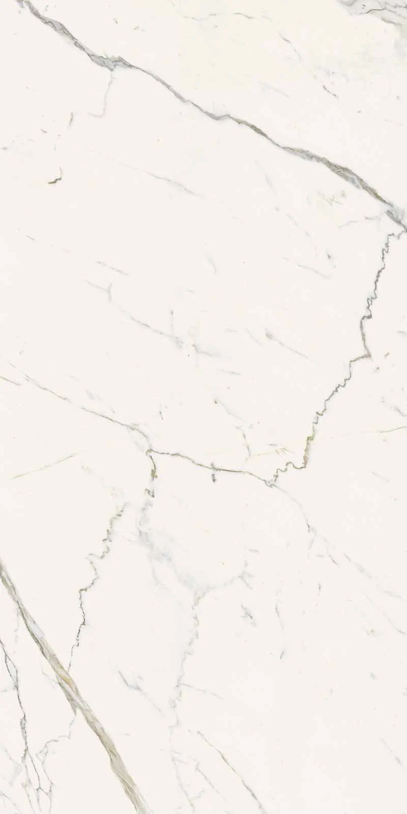 Керамогранит 292A Calacatta Statuarietto Nat RT 60x120