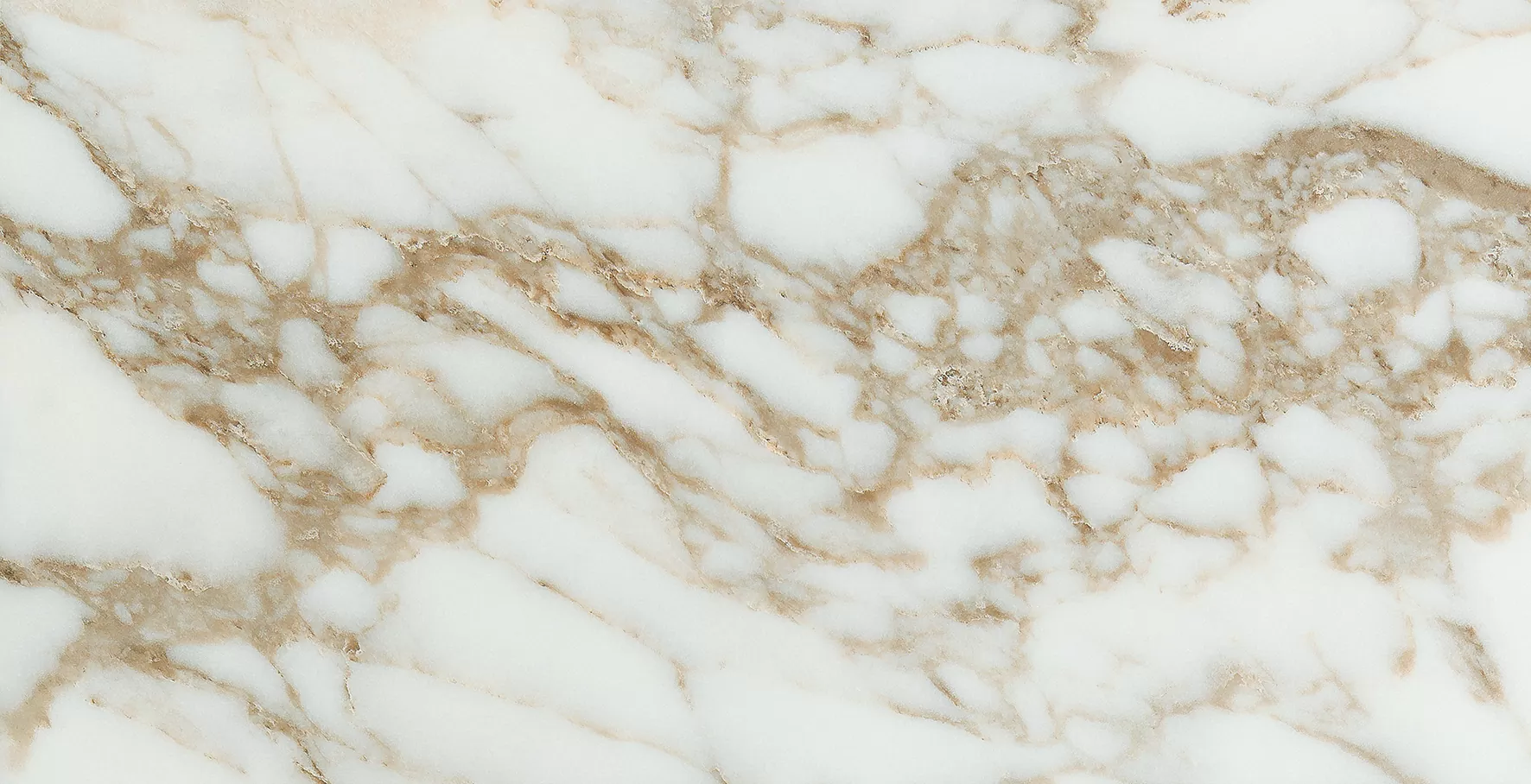Керамогранит Arabescato Gold Matt Rect. 60x120