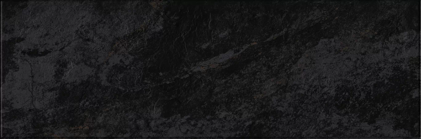 Плитка 618 Image Dark 32,5х100