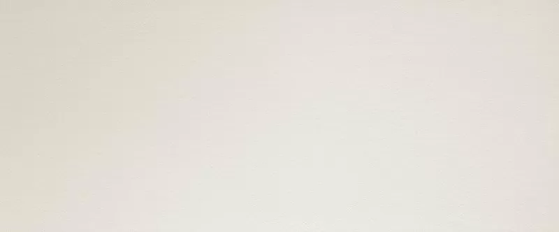 Плитка fPK5 Lumina White Extra Matt RT 50x120