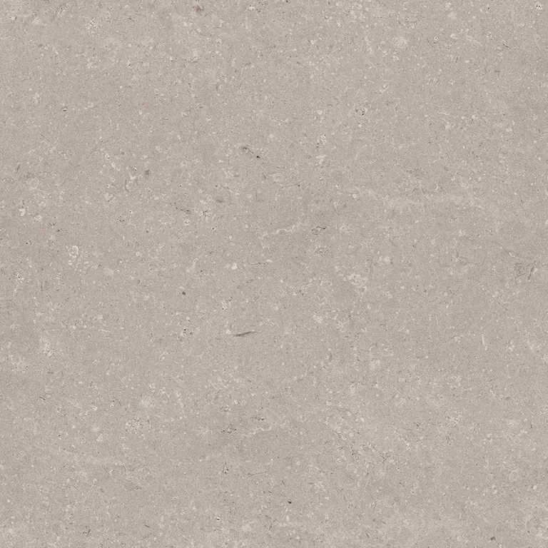 Керамогранит 100330200 Coral Topo L 80x80