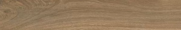 Керамогранит Oxford Brown Mat 20x120