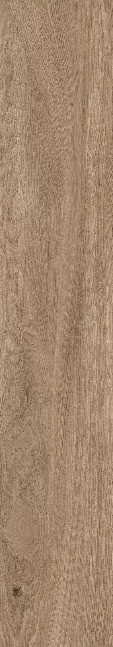 Керамогранит 1055 Casa Brown Mate 120x20