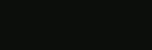 Плитка 4YC4 Negro Mate 33.3x100