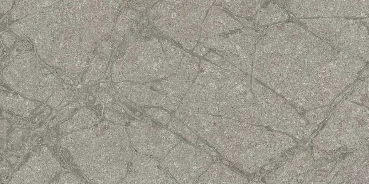 Керамогранит PF60011858 Supreme Memories Grey Soapstone Ant Ret 60x120